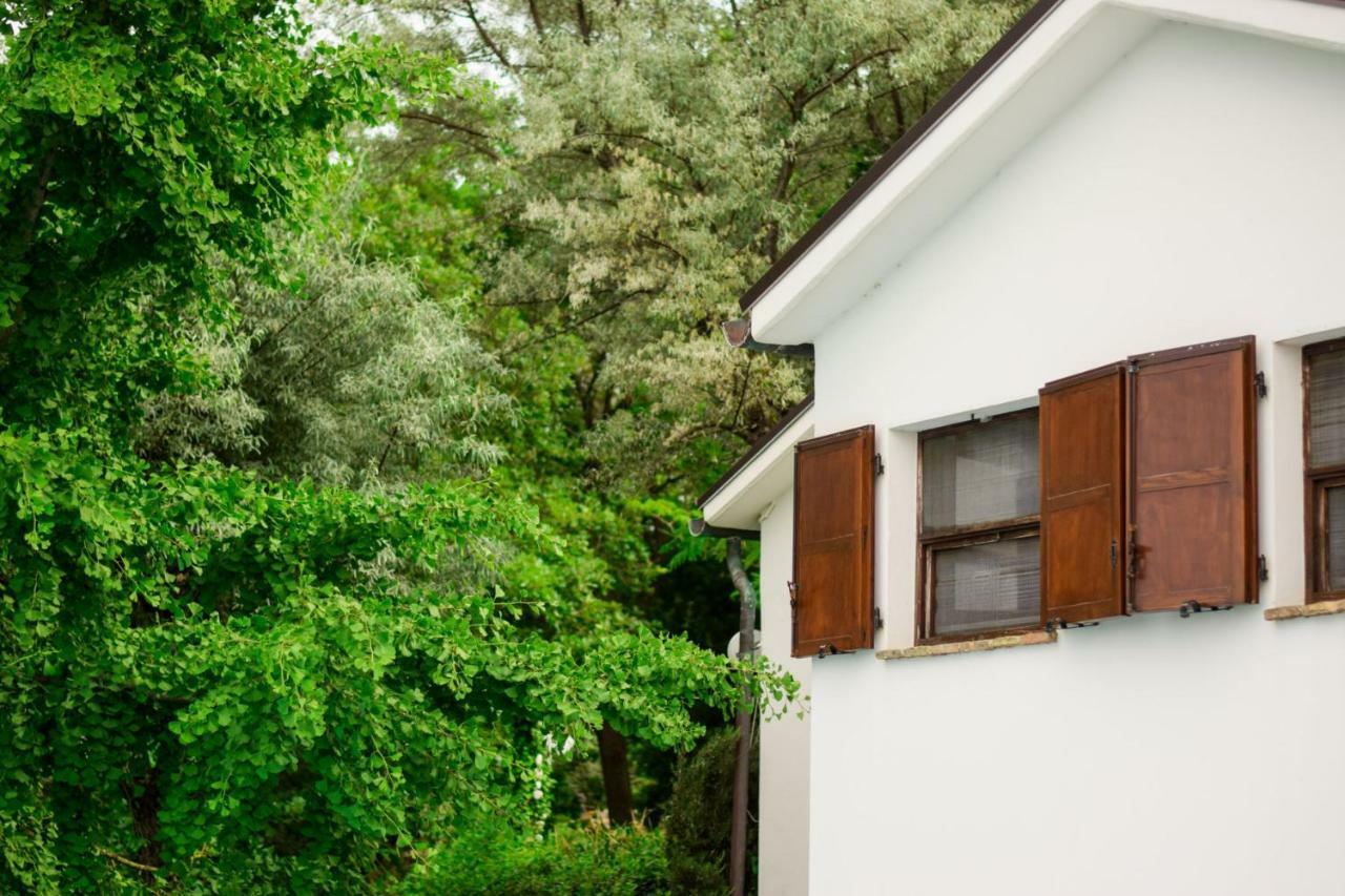 Barbagianni Villa Senigallia Exterior foto